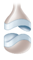 <p>What is this image an example of?</p>
