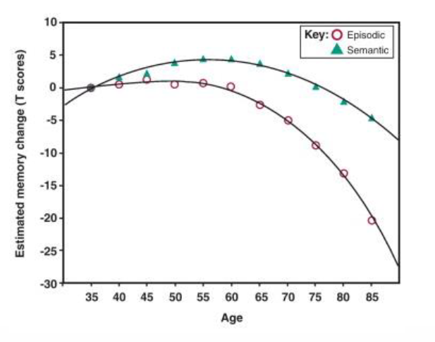<p>• Relatively stable in middle adulthood</p><p>• Declines steadily through the older adult years</p><p>• Magnitude of the decline depends on the nature of the task and the method of testing</p><ul><li><p>Retrieval condition</p></li><li><p>Type of memories (items vs associations)</p></li></ul><p></p>