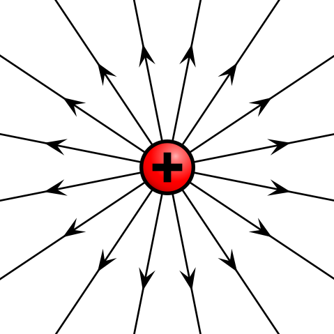 What force does this positive test have?