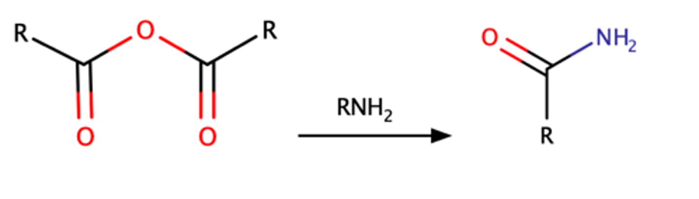 <p>Acetylation of acetic anhydride with an amine can form an amide</p>