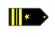 <p>One gold 1/2-inch stripe outboard one gold 1/4-inch stripe outboard one gold 1/2- inch stripe outboard a gold five pointed star (O4)</p>