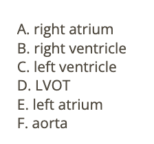<p>d) LVOT</p>