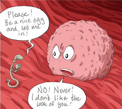 <p>gametic isolation</p>