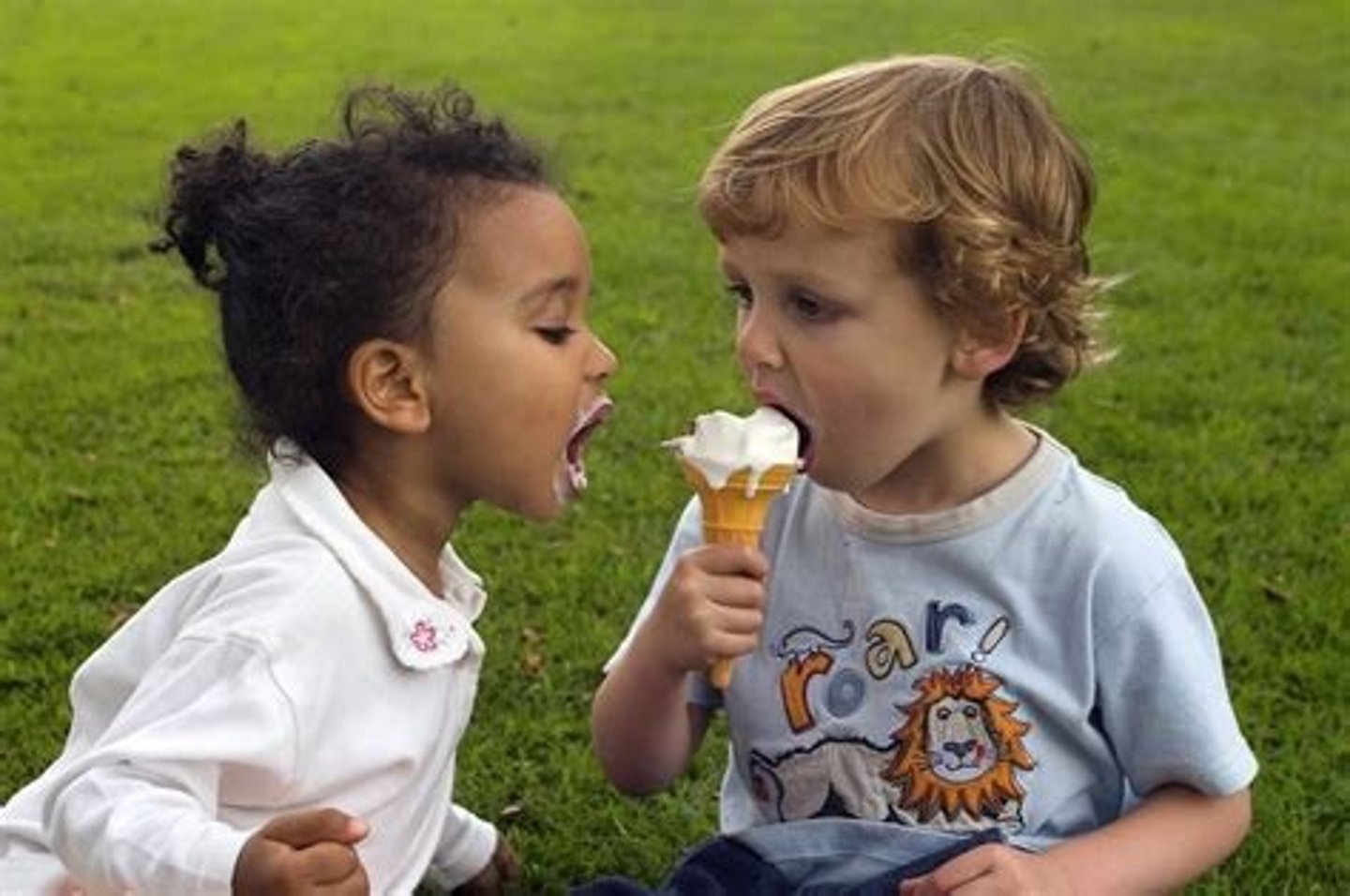 <p>chia sẻ cái gì với</p>