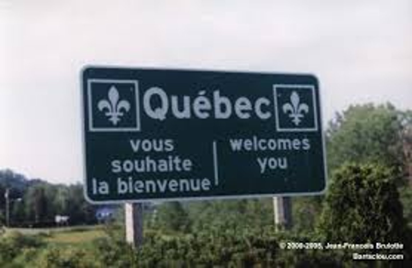 <p>bilingual</p>