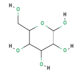<p>6 carbons - ex. <u>Glucose, Galactose, Fructose</u></p>