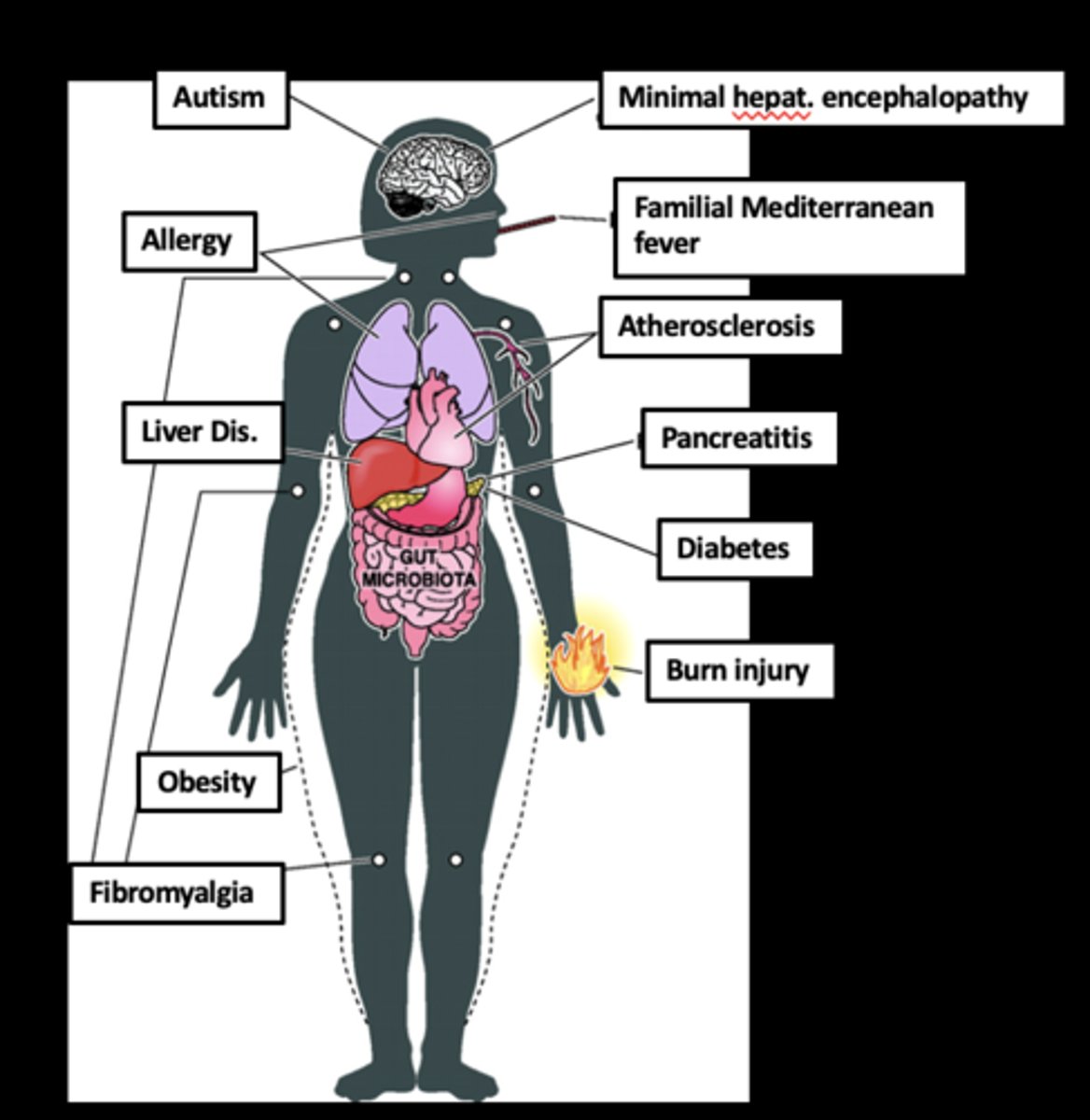 <p>ASSOCIATION OF MICROBIOTA WITH DISEASES OUTSIDE OF THE GASTROINTESTINAL TRACT</p>