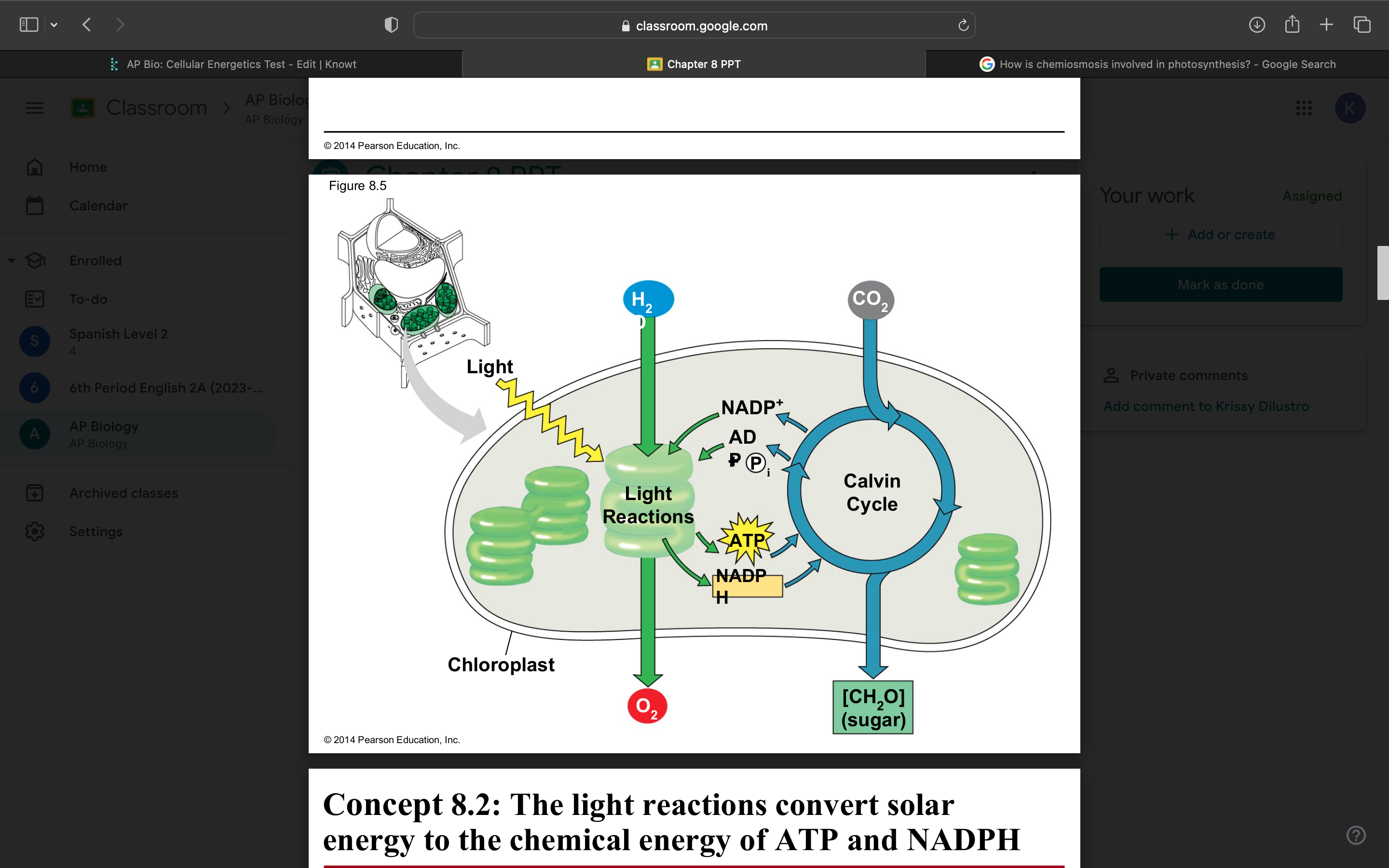 knowt flashcard image