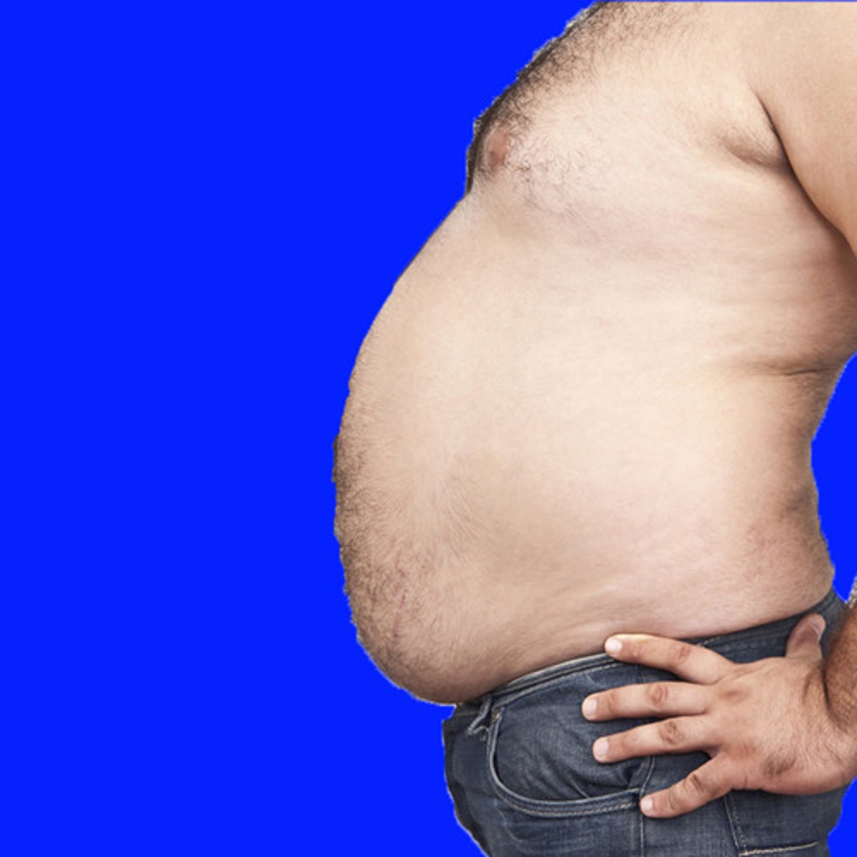 <p>stomach</p>