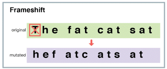 <p>The insertion or deletion of a nucleotide base</p>