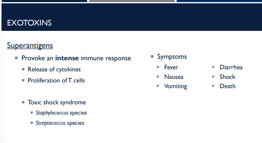 <p>Superantigens, a special type of <strong>exotoxin</strong> that cause an <strong>overreaction of the immune system</strong> by<strong><em> provoking an intense immune response,</em></strong> do so how?</p>
