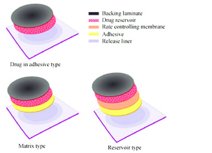 <ul><li><p>protective liner- temporary covers adhesive, removed before application</p></li><li><p>adhesive- part that maintains contact w/ the skin, should be non-irriating/allergic, and compatible, serves as matrix for DIA</p></li><li><p>backing layer- film, protects the patch from the outside world</p></li><li><p>drug matrix- ONLY in DIM, a blend of drug+polymer</p></li><li><p>drug reservoir- ONLY in RESERVOIR systems, isolated drug donor layer, contains a liquid or gel blend of the drug+polymer, viscosity is important</p></li><li><p>membrane- semipermeable, optional, usually used to separate reservoir and adhesive</p></li></ul>
