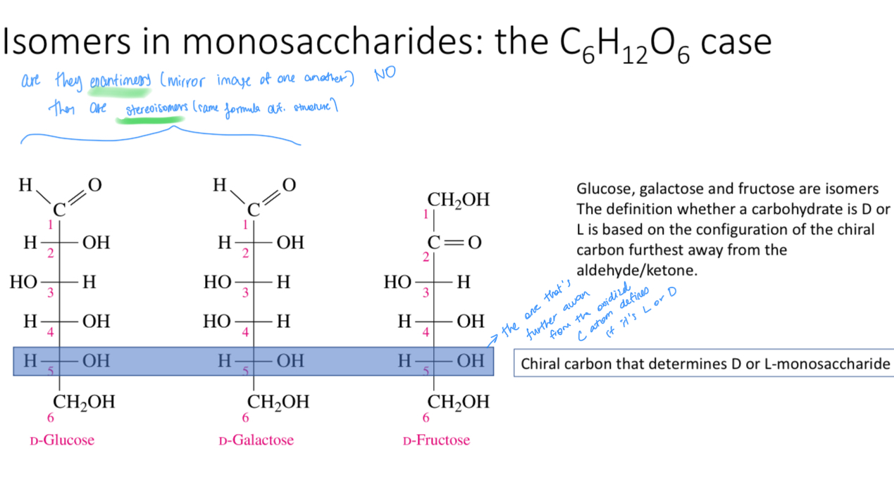 <p>The one chiral carbon that’s furthest away from the most oxidized C atom (chiral carbon)</p>