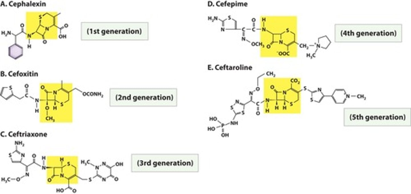 <p>Beta-lactam antibiotics with multiple generations.</p>