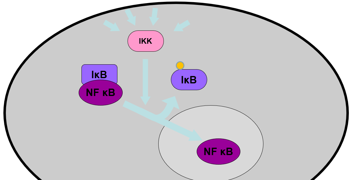 binding can have a positive or negative effect on the target

* __example__: binding protein to target keeps it outside nucleus, phosphorylation of protein causes dissociation and movement of target into nucleus