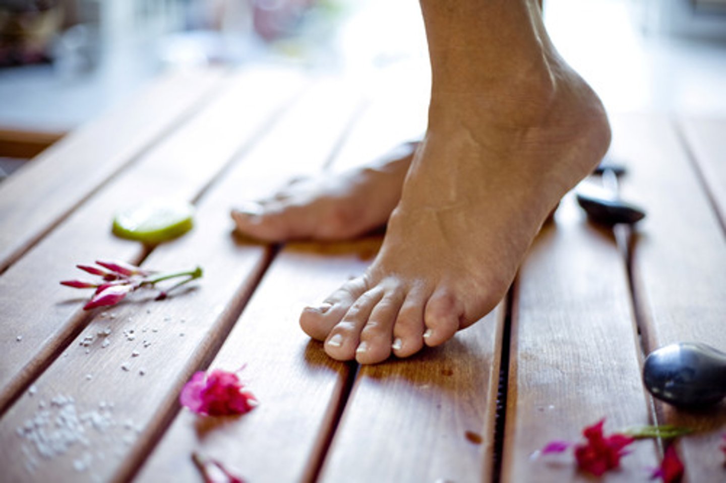 <p>DEFINITION</p><p>foot (feet)</p>