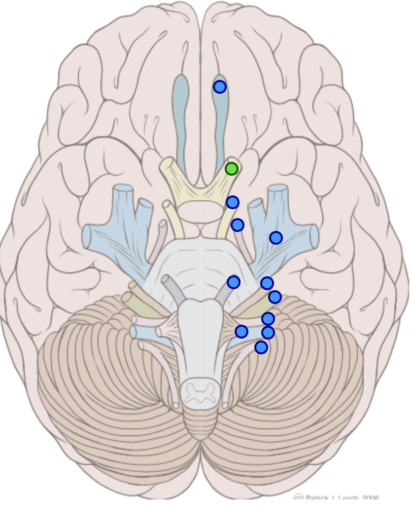 knowt flashcard image