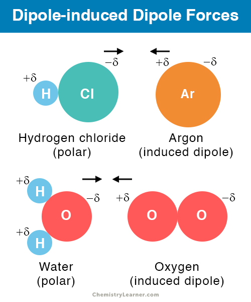 * a weak attraction that occurs when a **polar** molecule causes a dipole to form in an atom or **nonpolar** molecule by disrupting the electron configuration in the nonpolar species.
* **between a polar and a non-polar molecule**
* neither the strongest intermolecular force, or the weakest