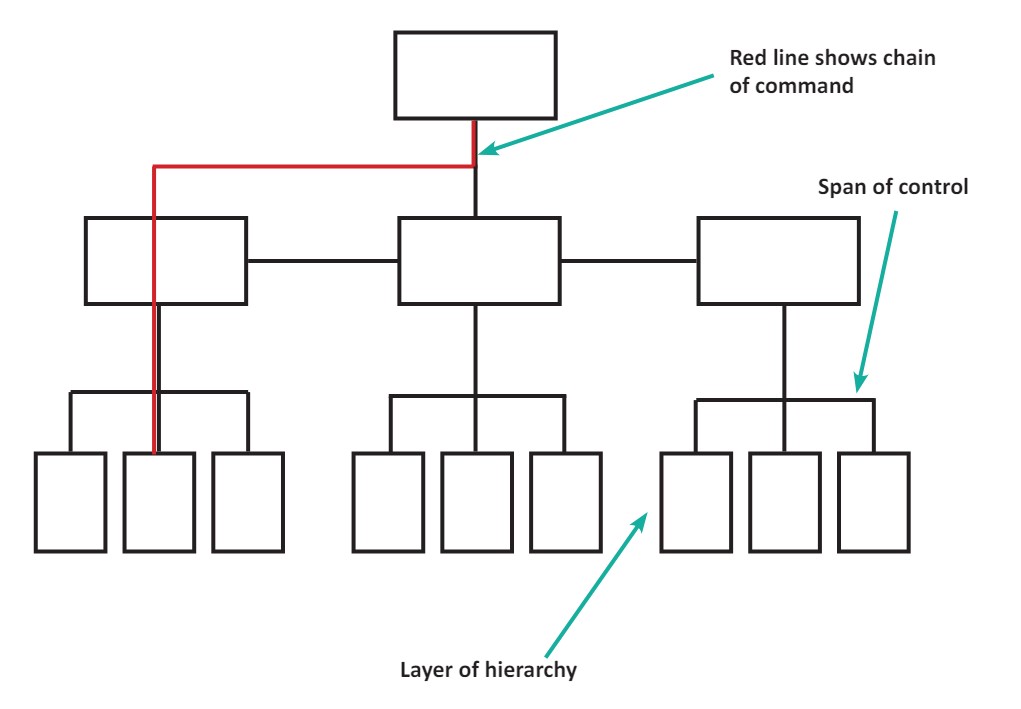 <p>A series of levels within a business where each level has responsibility and authority over the levels below.</p>