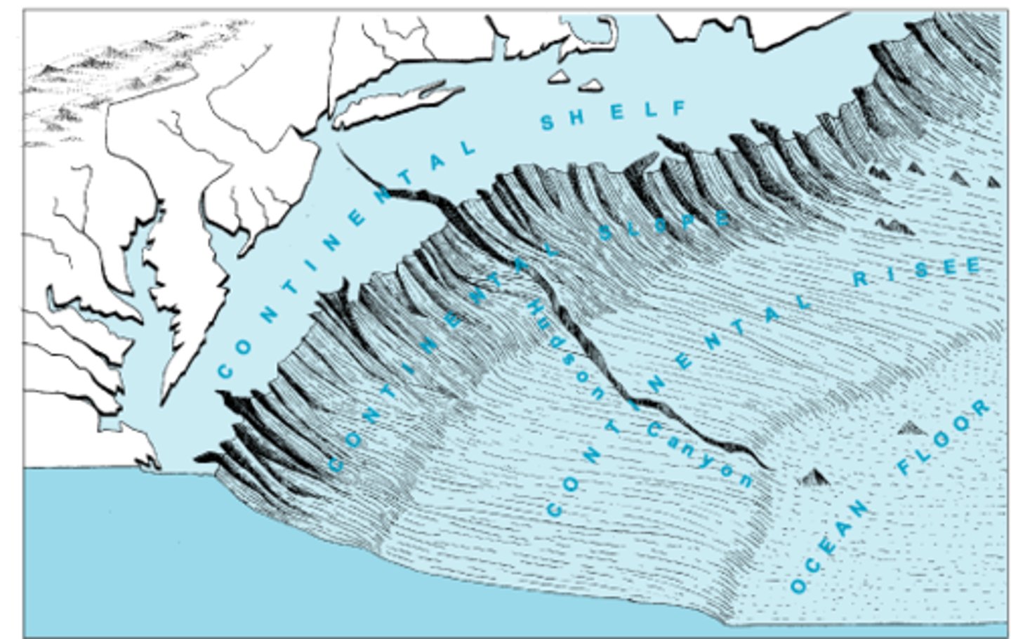 <p>region of prolonged caving (deep holes) in where thick sediments have accumulated during the Phanerozoic eon &amp; dip into center </p><p>EX: Michigan Basin</p>