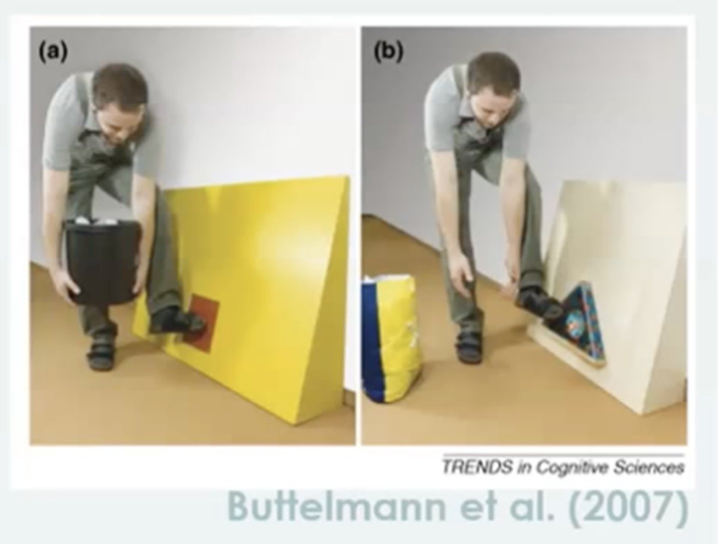 <p>In the instance when the actors hands were unavailable, the chips used their hands instead of their feet to push the panel. Understood that the only reason the actor used his feet was because his hands were occupied. Possessed understanding of the actors mental state </p>