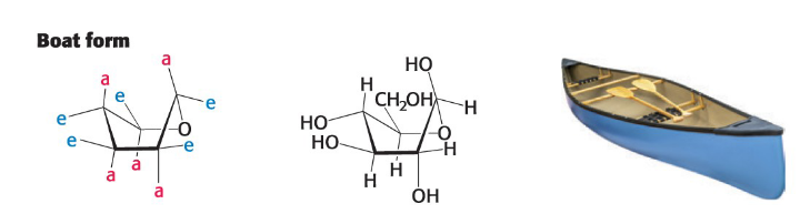 <p>Disfavored because it is sterically hindered</p>