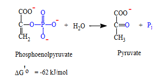<p><span style="color: #ffffff">Phosphoenolpyruvate has high PGTP so it can transfer its phosphate to ADP in a coupled reaction because the overall coupled reaction has negative ΔG</span></p>