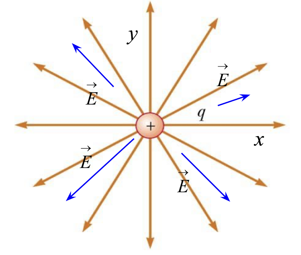 <p>For electric field lines, we start at _____ charges or infinity.</p>