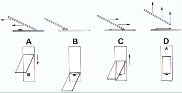 <p>Line concentration technique </p>