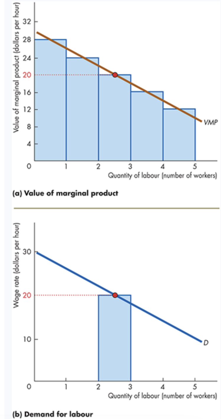 <p><span style="background-color: transparent; font-family: "Times New Roman", serif;"><strong><span>2. Relationship between VMP and marginal product?</span></strong></span></p><ul><li><p><span style="background-color: transparent; font-family: "Times New Roman", serif;"><span>Marginal product reflects </span><strong><span>___ output added by an ___ worker</span></strong><span>.</span></span></p></li></ul><p><span style="background-color: transparent; font-family: "Times New Roman", serif;"><span>VMP converts marginal product into </span><strong><span>___ value</span></strong><span> using the price of output.</span></span></p>