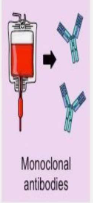 <p>Receiving manufactured antibodies via external delivery;<strong> blood transfusions with antibodies</strong></p>