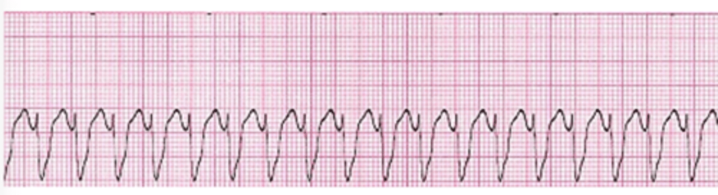 <p>What is this?</p>