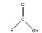<p>Identify the functional group</p>