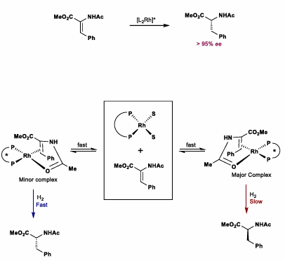 <p>Most hindered face hydrogenation (minor complex reacts fast)</p>