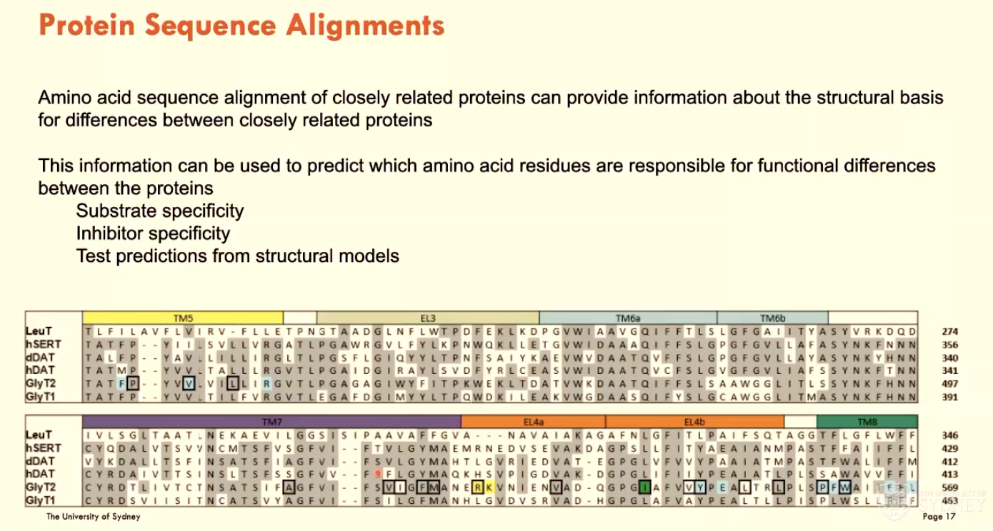 <p>Aligning AAs between closely related proteins to provide information about the structural basis for differences between closely related proteins.</p><p>This information can be used to predict which AA residues are responsible for functional differences between the proteins:</p><ul><li><p>substrate specificity</p></li><li><p>inhibitor specificity</p></li><li><p>test predictions from structural models</p></li></ul><p></p>