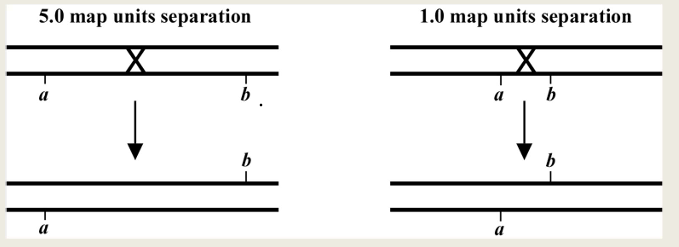 <ul><li><p>tells you how far apart two loci are on a chromosome</p></li><li><p>the father apart two genes are, the more likely a recombination event will occur between them </p></li></ul><p></p>