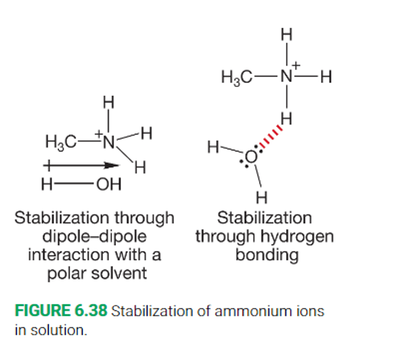 <p>Little steric interference with solvation occurs when we replace one hydrogen with a methyl group in ammonium, and further more there is stabilization, so pKa increases by a full unit</p><p>Replacing a second hydrogen with a methyl group yields a balance between steric hindrance of solvation and stabilization of the ammonium ion, the result is no net change in the pKa</p><p>Replacing a third hydrogen with a methyl group now results in the steric hindrance of solvation being far greater than the stabilization derived from a more substituted nitrogen atom</p>