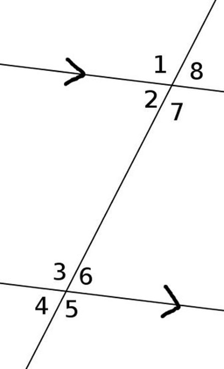 <p>If m∠3 = 59, what is m∠7</p>