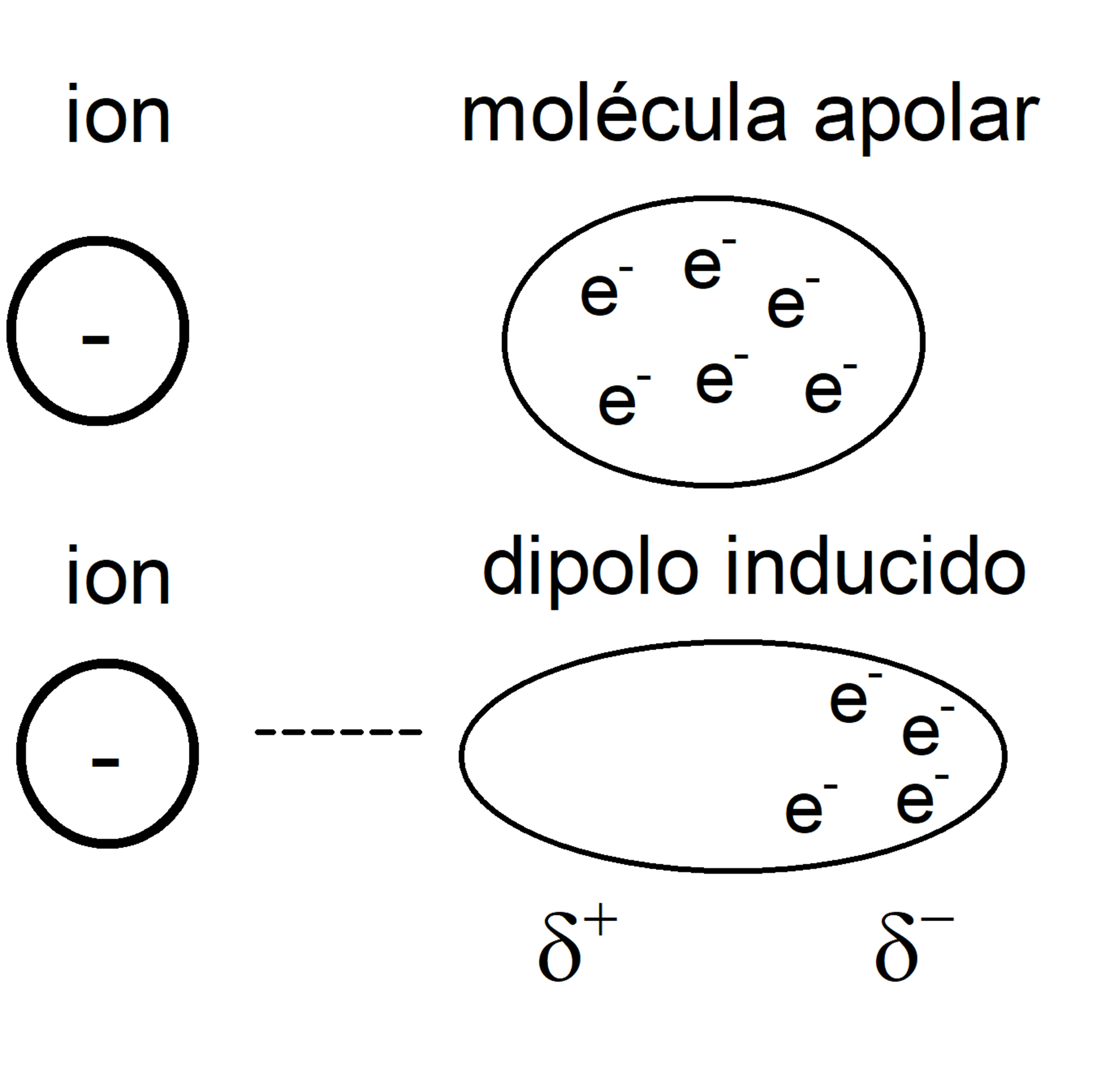 <p>Entre Ion y molécula apolar.</p><p>La proximidad del Ion deforma la nube electrónica de la molécula apolar, volviéndola polar y produciendo atracción.</p>