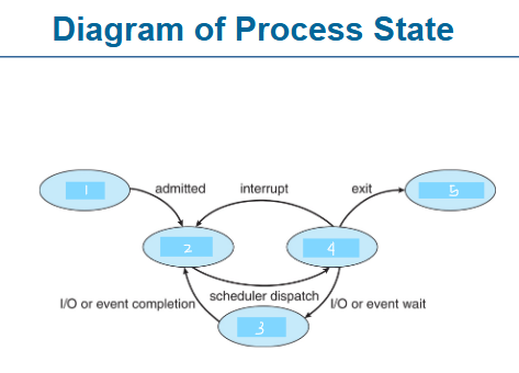 <p>diagram of process state </p>
