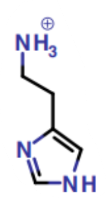 <p>What is this a picture of?</p>