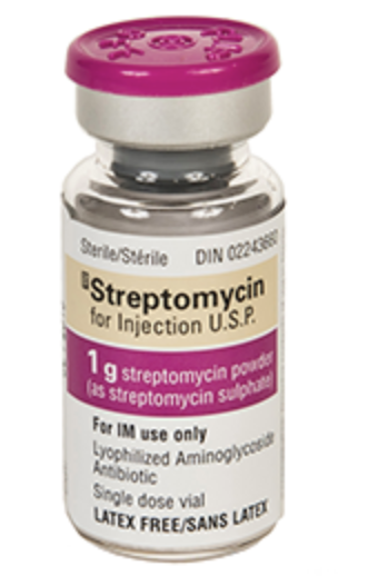 <ul><li><p>Streptomycin🚶🏻♂️</p></li></ul><p></p>