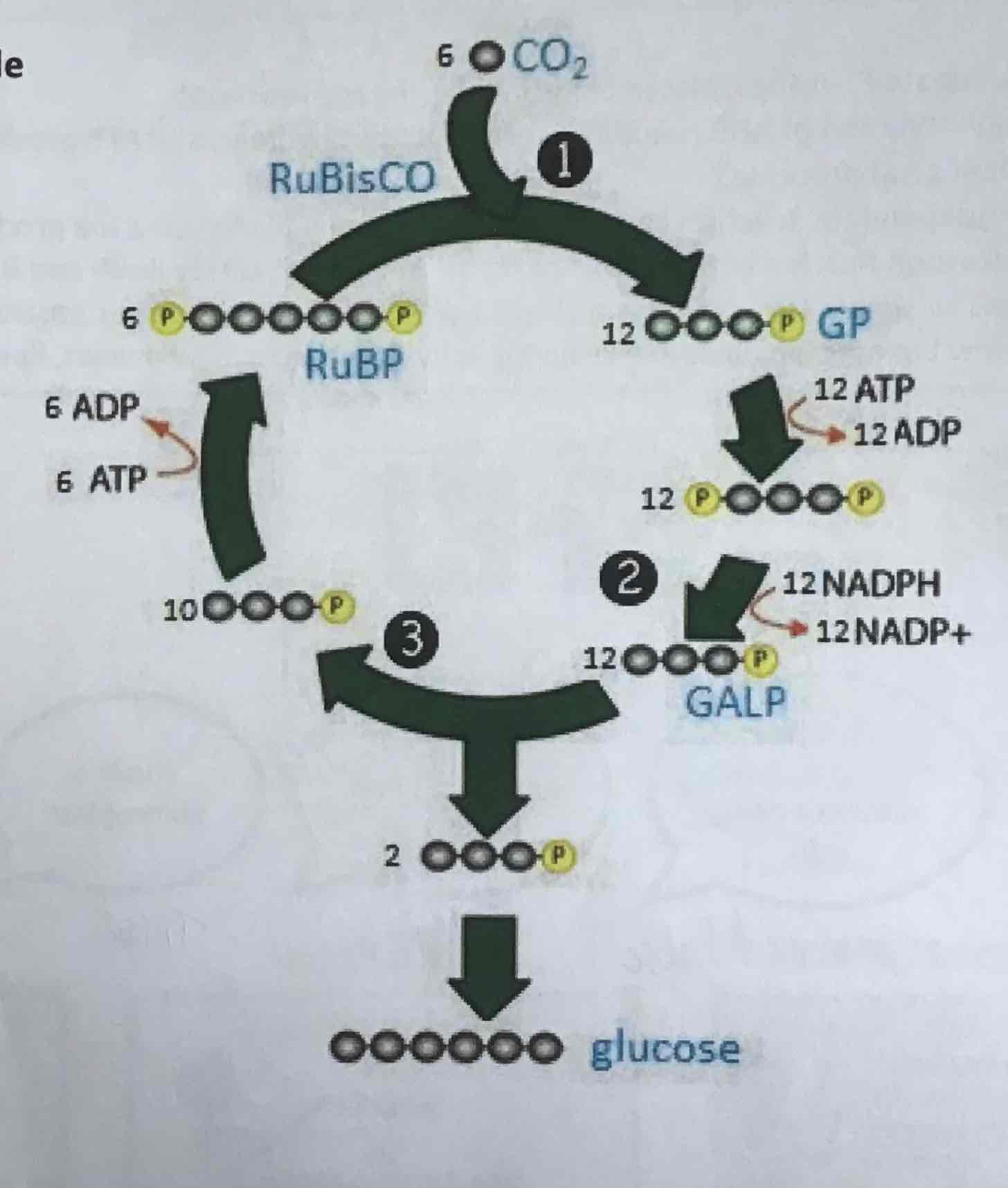 knowt flashcard image