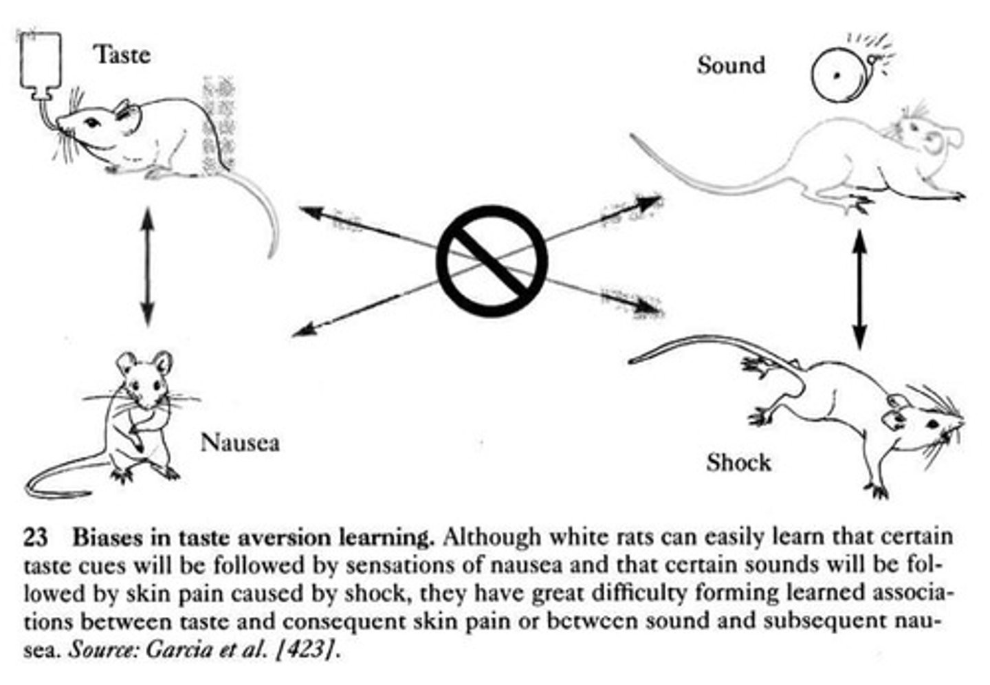 <p>It demonstrated that certain associations, such as taste and illness, are more readily learned due to biological constraints.</p>