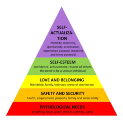 <p>The process of realizing one’s full potential and becoming the best version of oneself. (According to Maslow’s hierarchy of needs)</p>