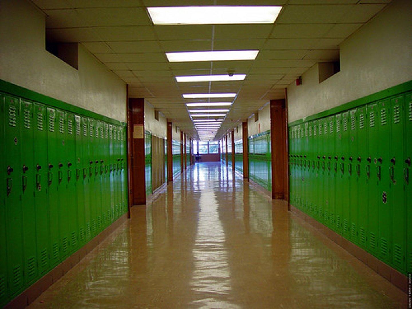 <p>(zǒudào )</p><p>aisle</p>