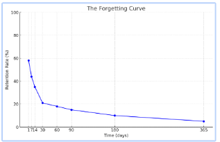 <p><span style="font-family: Gill Sans, sans-serif">graphical representation of the<em> rate at which memory fades</em> over time.&nbsp;</span></p><p><br></p><ul><li><p><span style="font-family: Gill Sans, sans-serif">Memory loss is fastest soon after learning, as the brain deems some information non-essential.</span></p></li></ul><p></p>