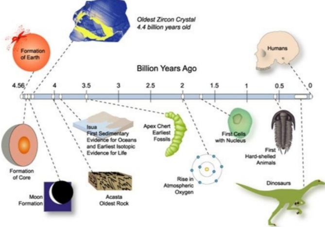 <p>Series of key events that occur</p><ul><li><p>Evidence for life in microbial mats such as stromatolites are multilayered sheets formed by microorganisms such as archaea and bacteria.</p></li></ul>