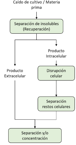 <p>¿En qué momentos se puede encontrar la sedimentación?</p>