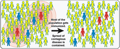 <p>The resistance of a group to an attack by a disease to which a large proportion of the members of the group are immune</p>